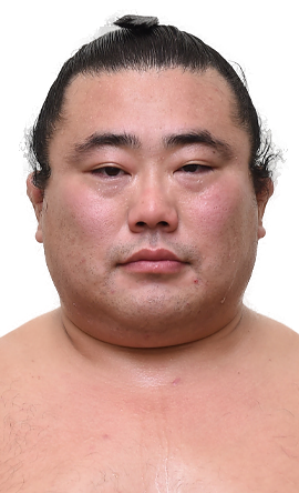 Portrait of the sumo wrestler