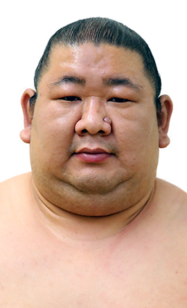 Portrait of the sumo wrestler