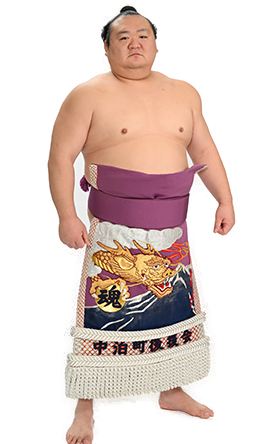 Portrait of the sumo wrestler