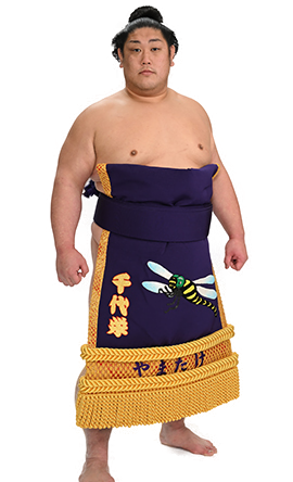 Portrait of the sumo wrestler