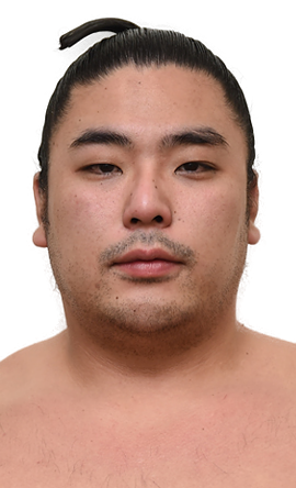 Portrait of the sumo wrestler