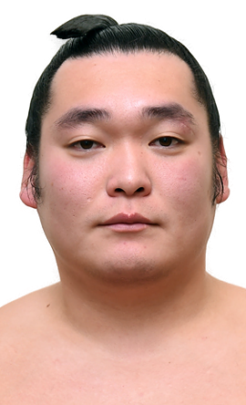 Portrait of the sumo wrestler