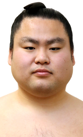 Portrait of the sumo wrestler