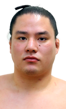 Portrait of the sumo wrestler