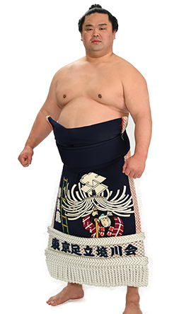 Portrait of the sumo wrestler