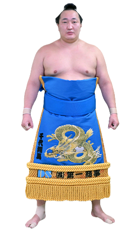 Portrait of the sumo wrestler