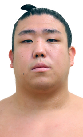 Portrait of the sumo wrestler