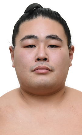 Portrait of the sumo wrestler