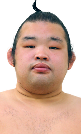 Portrait of the sumo wrestler