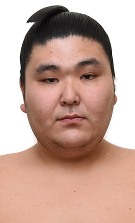 Portrait of the sumo wrestler