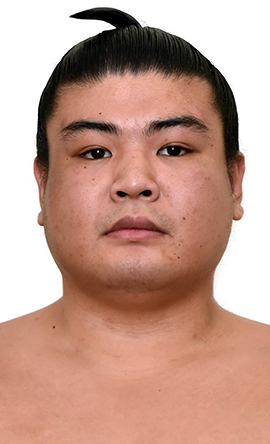 Portrait of the sumo wrestler