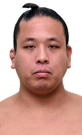 Portrait of the sumo wrestler