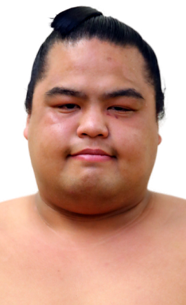 Portrait of the sumo wrestler