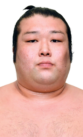 Portrait of the sumo wrestler