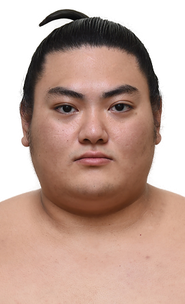 Portrait of the sumo wrestler