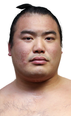 Portrait of the sumo wrestler