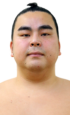 Portrait of the sumo wrestler