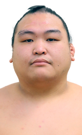 Portrait of the sumo wrestler