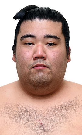 Portrait of the sumo wrestler