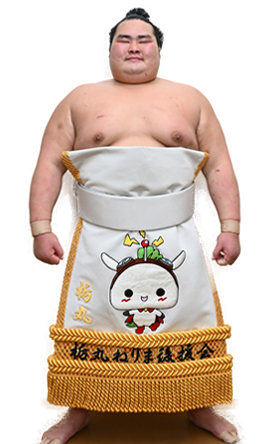 Portrait of the sumo wrestler