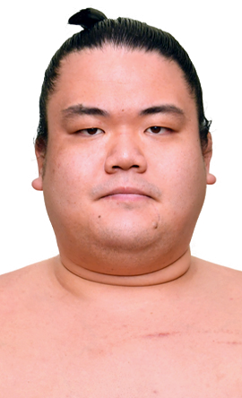 Portrait of the sumo wrestler