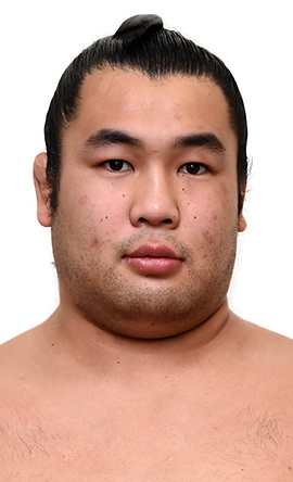 Portrait of the sumo wrestler