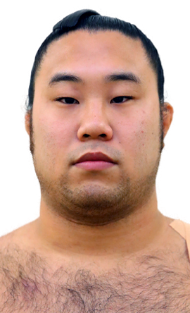 Portrait of the sumo wrestler