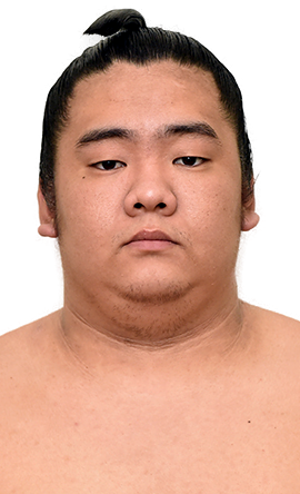 Portrait of the sumo wrestler