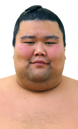 Portrait of the sumo wrestler