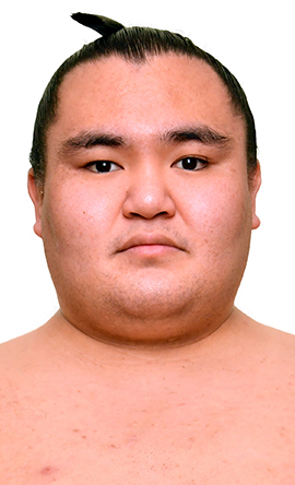 Portrait of the sumo wrestler