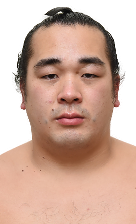 Portrait of the sumo wrestler