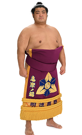 Portrait of the sumo wrestler