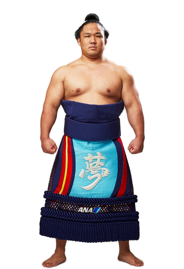 Portrait of the sumo wrestler