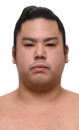 Portrait of the sumo wrestler