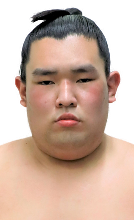 Portrait of the sumo wrestler