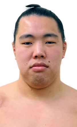 Portrait of the sumo wrestler