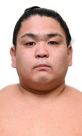 Portrait of the sumo wrestler