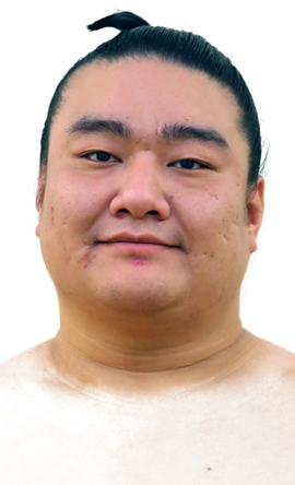 Portrait of the sumo wrestler