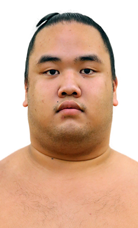 Portrait of the sumo wrestler