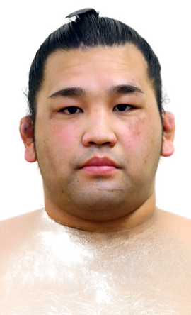 Portrait of the sumo wrestler