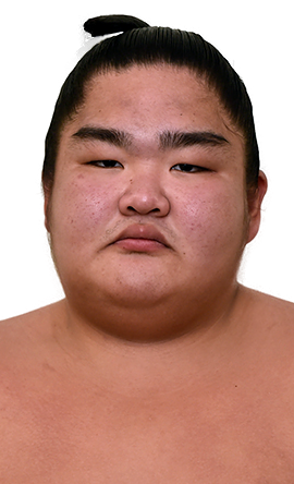 Portrait of the sumo wrestler