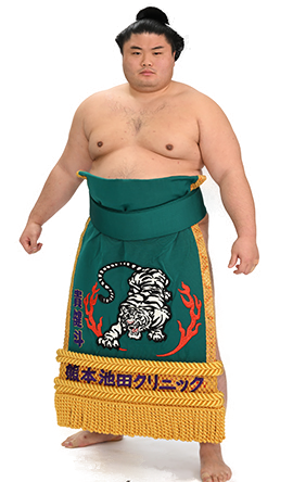 Portrait of the sumo wrestler