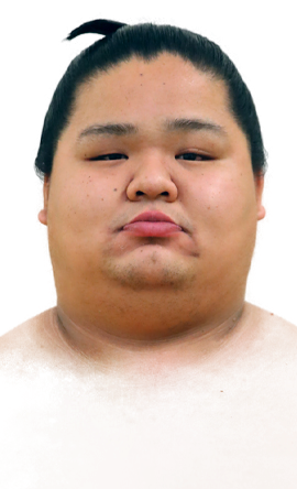 Portrait of the sumo wrestler