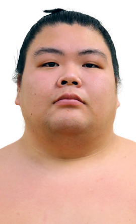 Portrait of the sumo wrestler