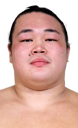 Portrait of the sumo wrestler