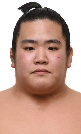 Portrait of the sumo wrestler