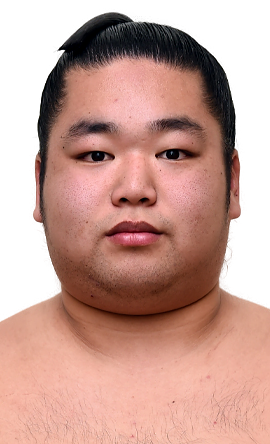 Portrait of the sumo wrestler