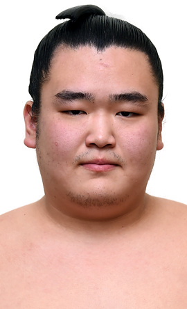 Portrait of the sumo wrestler