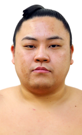 Portrait of the sumo wrestler