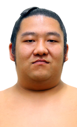 Portrait of the sumo wrestler